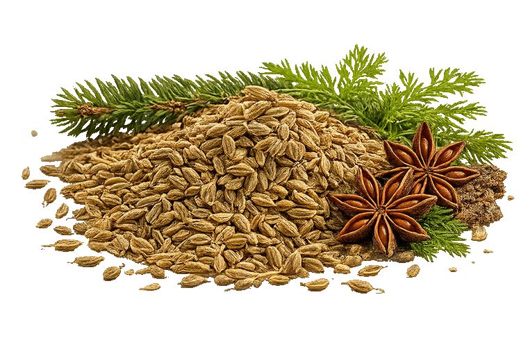 Aniseed with star anise and green leaves on a white background