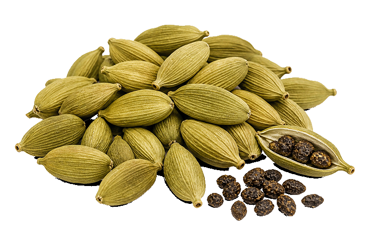Pile of green cardamom pods with a few black cardamom seeds on a white background