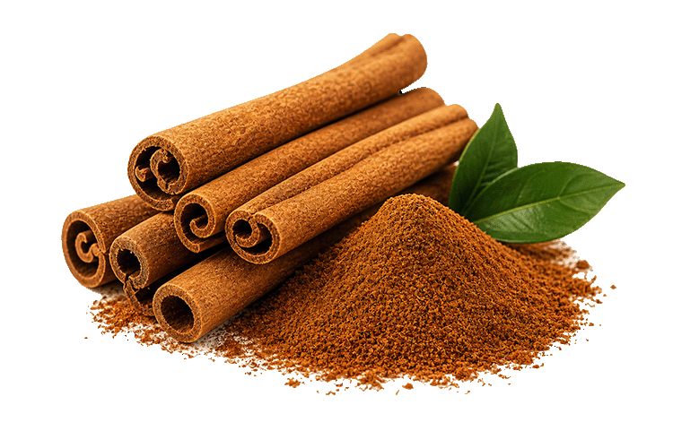 Cinnamon sticks and ground cinnamon on a white background