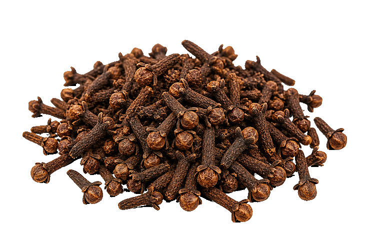 Pile of cloves on a white background
