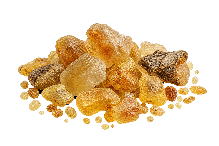 Copal resin on a white background