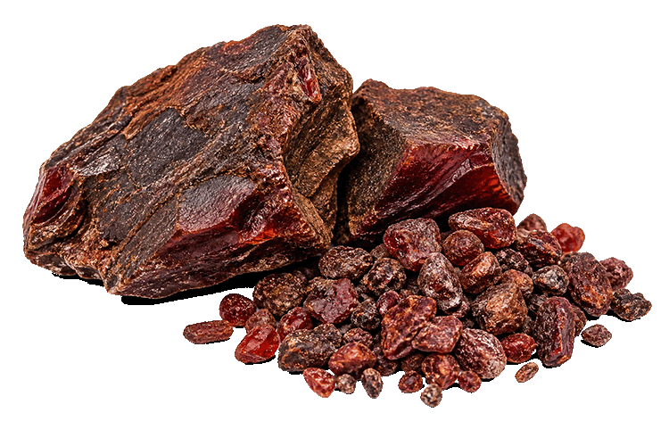 Dragons blood on a white background