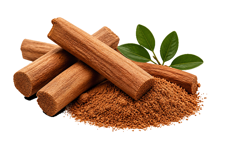 Sandalwood and ground cinnamon on a white background