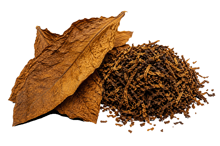 Tobacco leaves and ground tobacco on a white background