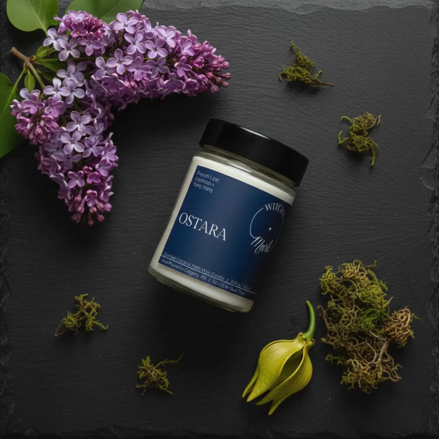 A top-down flat lay highlighting the spring scent profile of the Ostara candle, featuring the jar surrounded by blooming French lilac, a yellow ylang-ylang flower, and earthy oakmoss on a dark slate background.