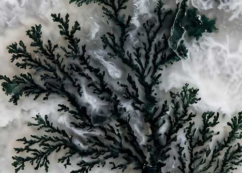 Close-up of a tree agate crystal
