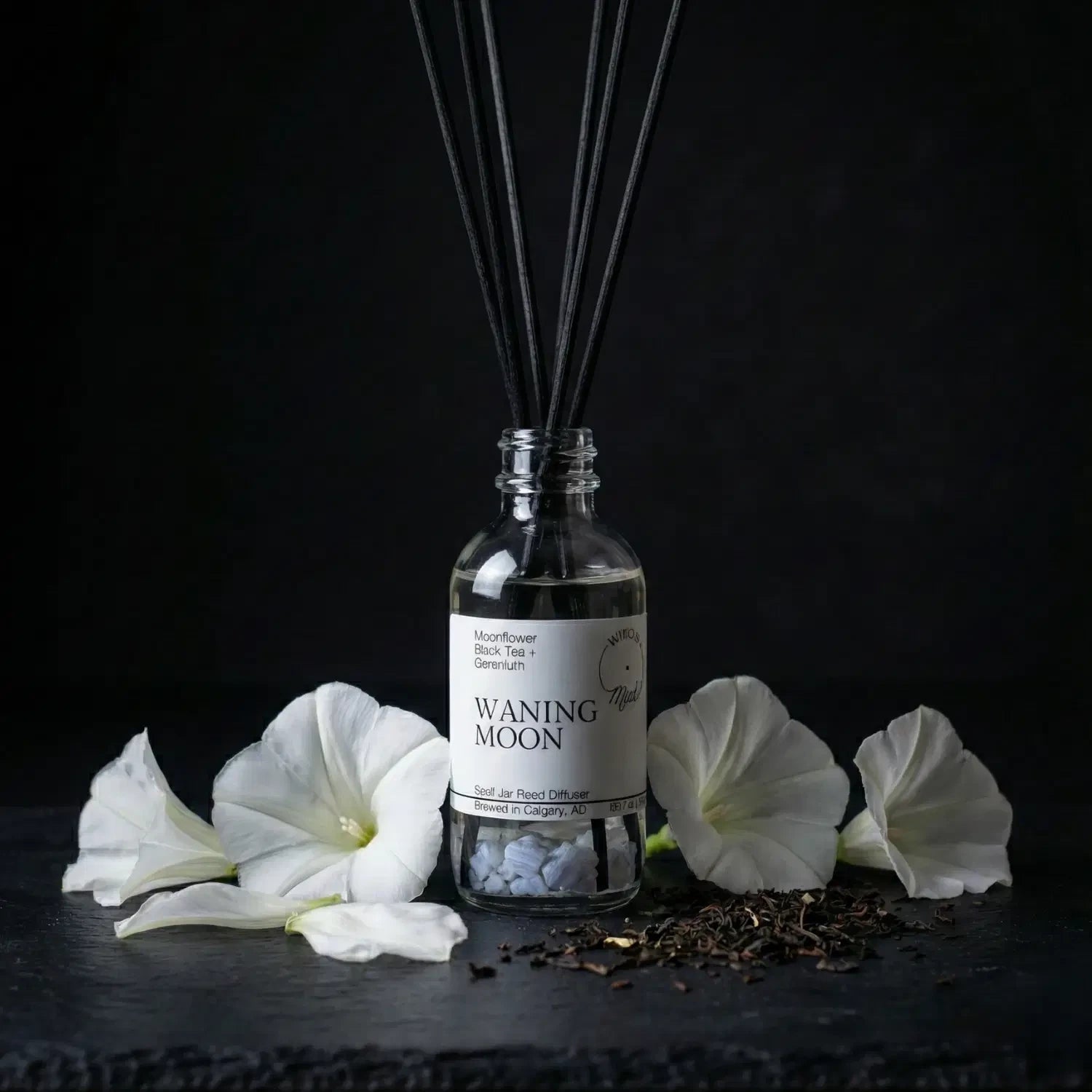 The Waning Moon spell jar reed diffuser by Witch's Mark showcased against a dark slate background, surrounded by its core botanical ingredients: delicate white night-blooming moonflowers and a scattering of loose black tea leaves.