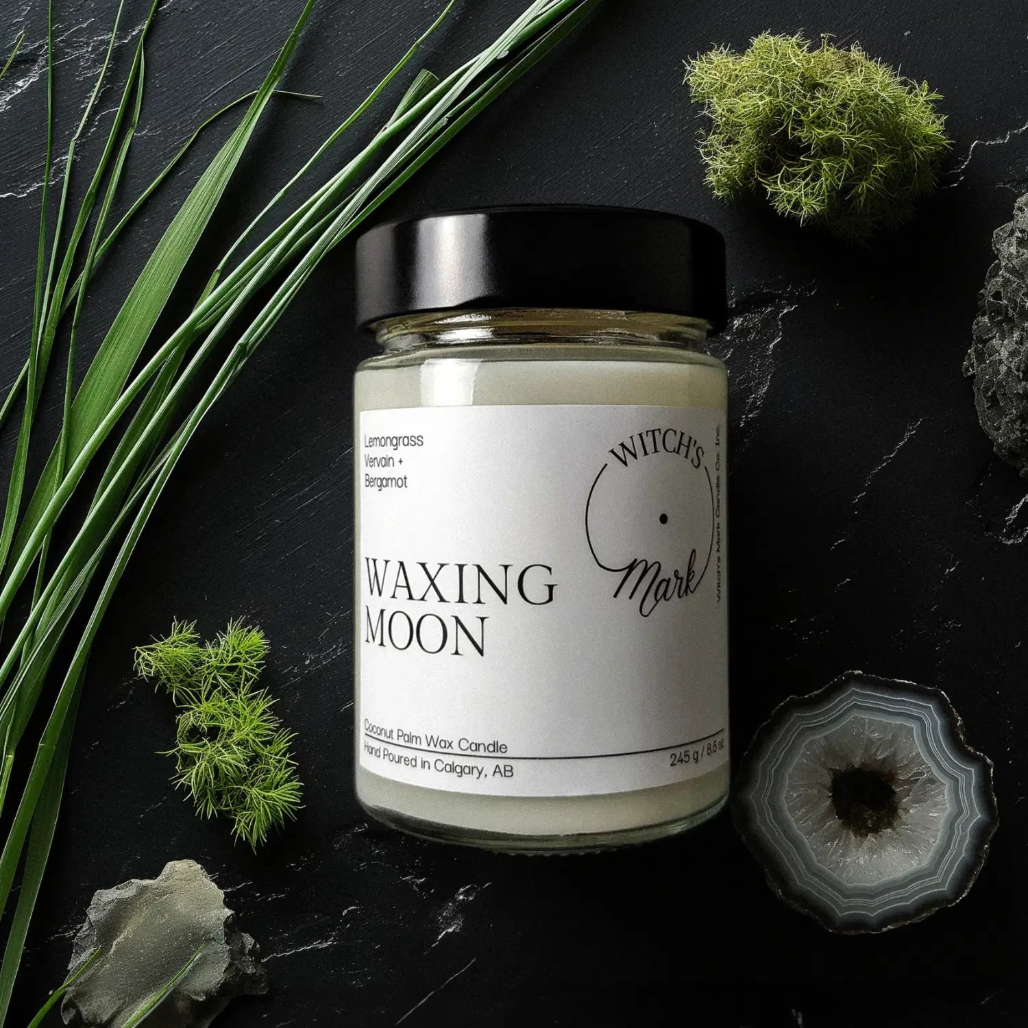 A top-down flat lay highlighting the ingredients of the Waxing Moon candle, featuring the jar surrounded by fresh lemongrass stalks, vibrant green moss, and a slice of moss agate on a dark slate background.