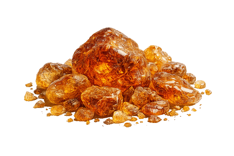 Amber on a white background