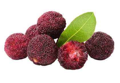 Fresh bayberries with a green leaf