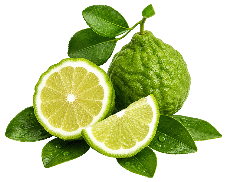 Bergamot fruit with a slice and leaves on a white background
