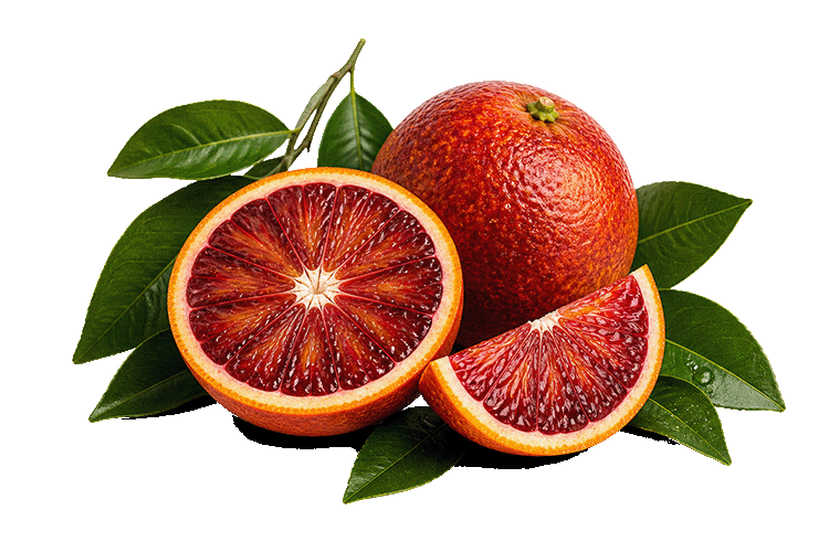Blood oranges with leaves on a white background