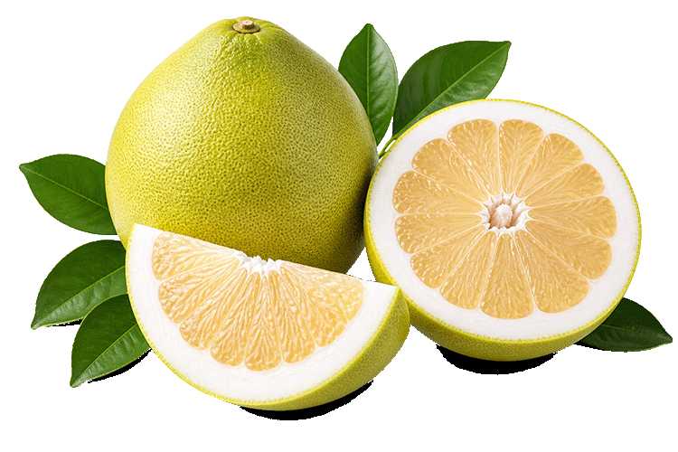Whole and sliced pomelo fruit with green leaves on a white background