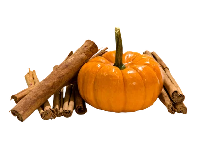 A small orange pumpkin with a green stem is arranged with several cinnamon sticks on a plain white background.