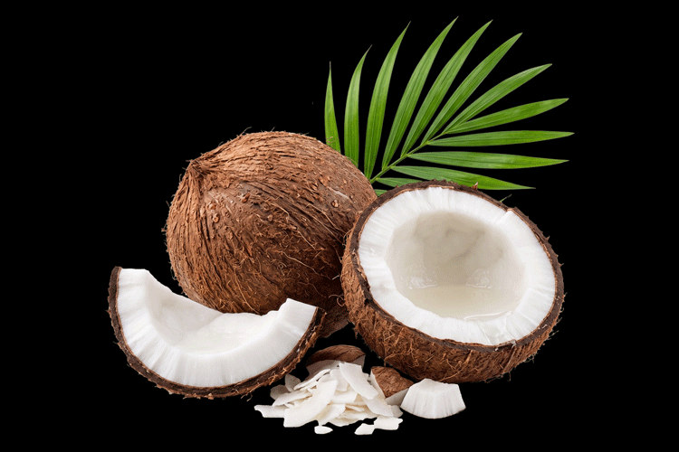 Coconuts with a split coconut and a palm leaf on a black background