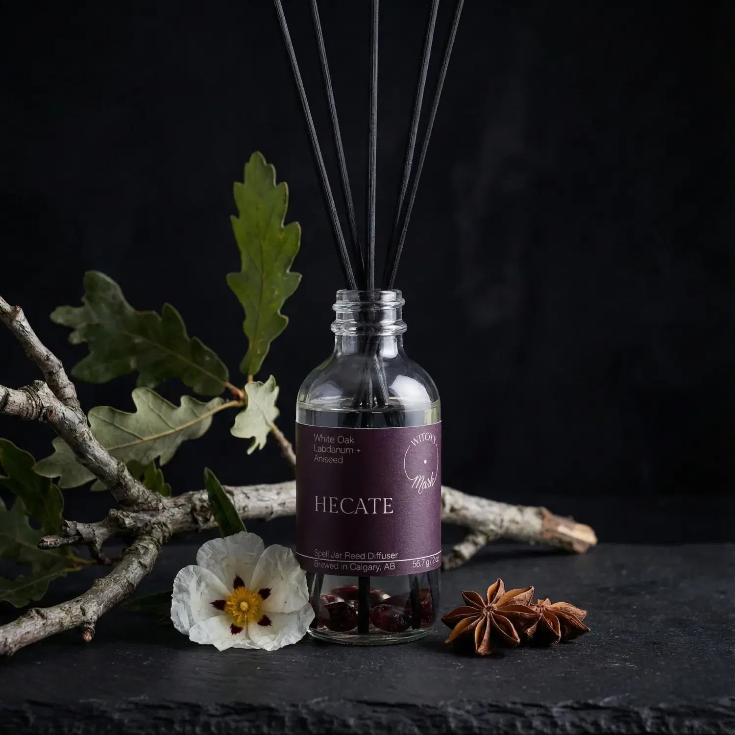 The Hecate spell jar reed diffuser by Witch's Mark showcased against a dark slate background, surrounded by its core spellbinding botanical ingredients: a rustic white oak branch, whole star aniseed pods, and delicate blossoms.