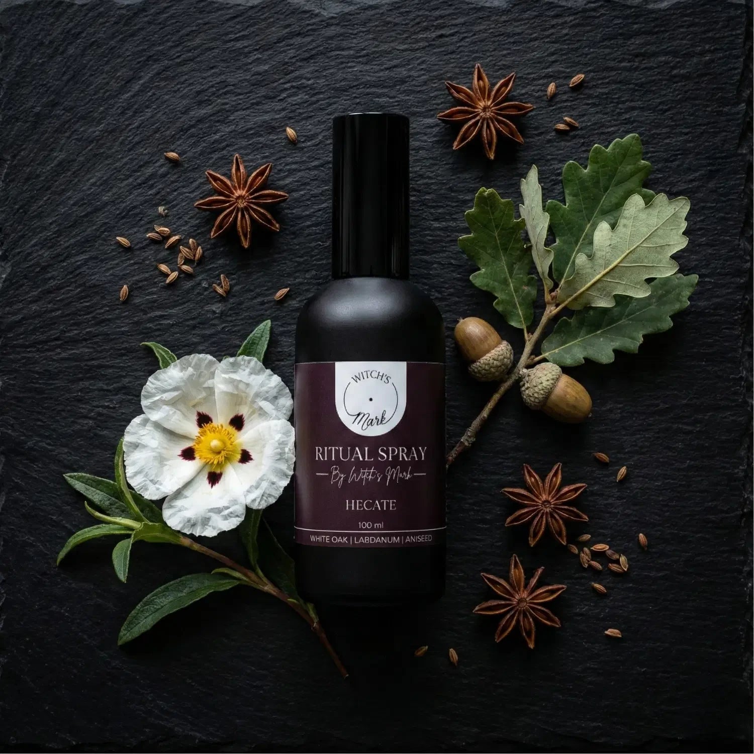 A top-down flat lay highlighting the spellbinding ingredients of the Hecate ritual mist by Witch's Mark. The black apothecary bottle sits surrounded by fresh white oak leaves with acorns, a delicate white labdanum rockrose blossom, and scattered star anise pods against a dark slate background.