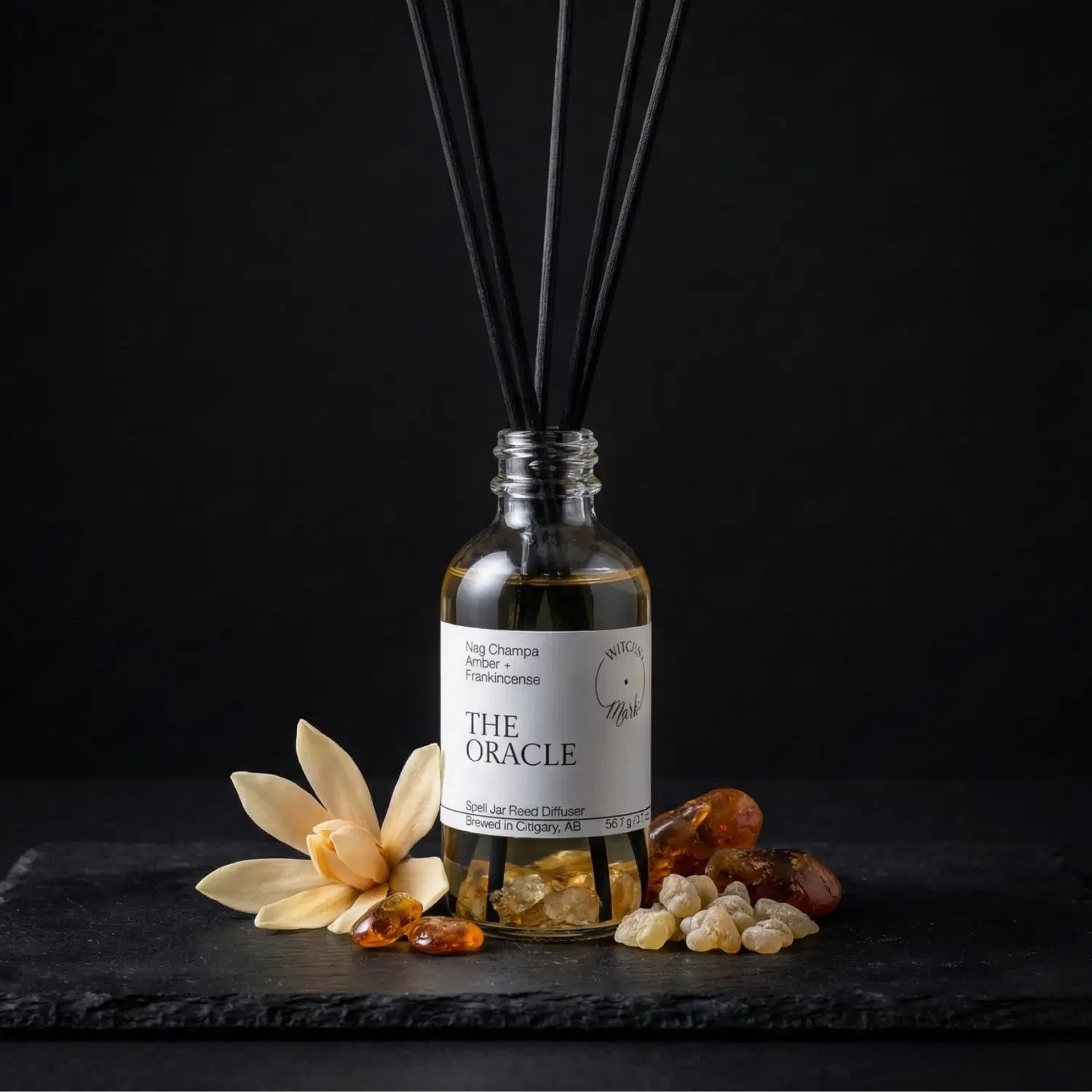 The Oracle spell jar reed diffuser by Witch's Mark showcased against a dark slate background, surrounded by its core botanical ingredients: a fresh champaca flower, warm golden amber chunks, and ancient frankincense tears.