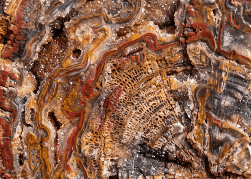 Hyper close up of petrified wood crystal texture